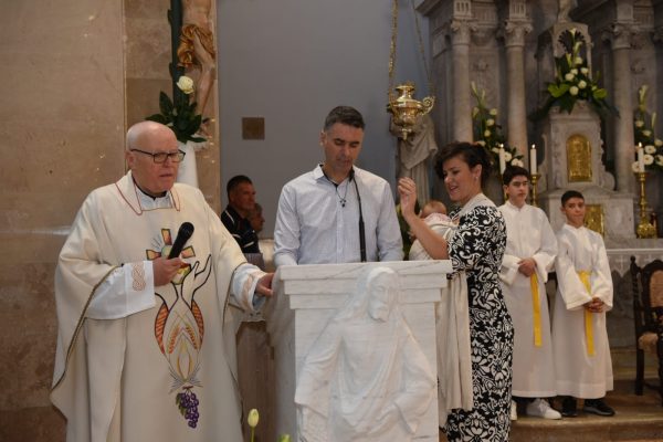 442a54c0-5618-409c-a4f3-15282df87c08