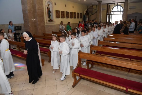 50575d89-661f-4b7a-a23c-f57007b0d41c