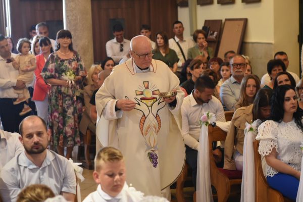 8bf00de2-10f0-4558-8206-dc7855ab5e79