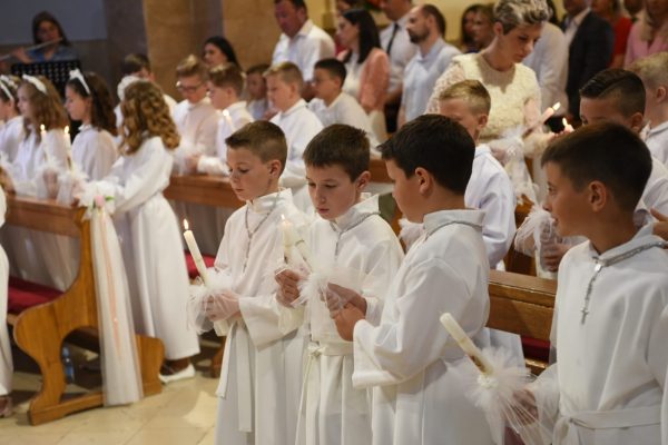 8fd76812-29fd-4e99-9f81-222597758747