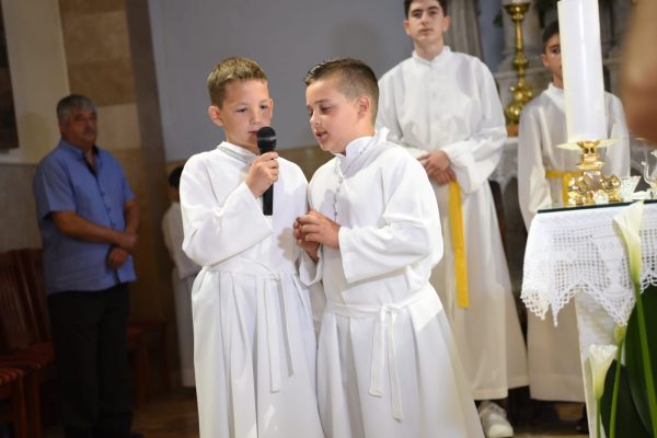 a0b8f162-c1aa-4fc7-be26-49f7f83605cc