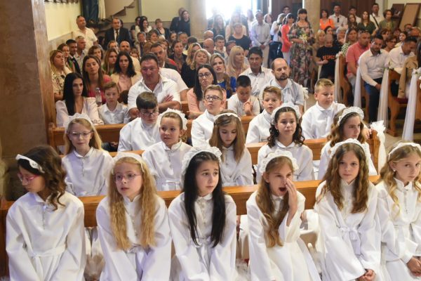 b11ed5e7-90ec-4620-a420-236e8286efc9