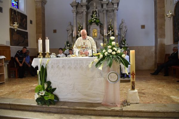 e114a1b5-bd73-461e-ae95-506871947c92