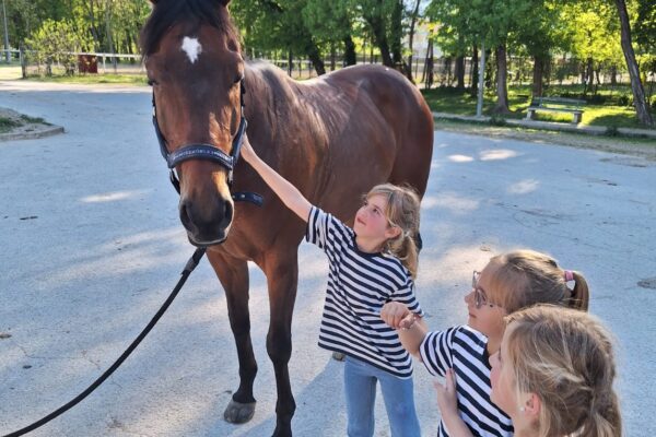 IMG-20240414-WA0016_copy_1147x1530