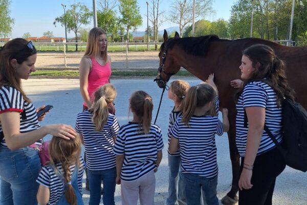 IMG-20240414-WA0017_copy_1147x1530