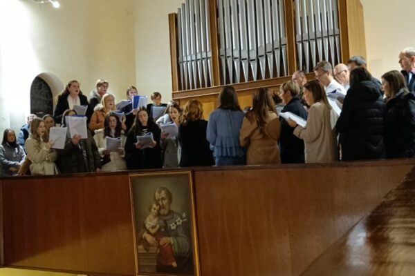 IMG-20241224-WA0002_copy_768x432