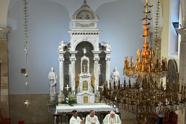 7448d8f5-baa4-483a-b0a9-eb19eb5d0949